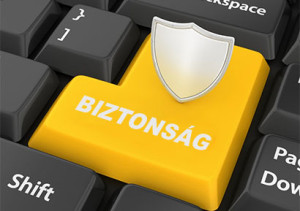 Védelemmel az internet sűrűjében