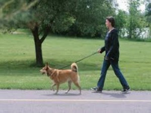 Hobbik, melyekkel pénzt is kereshetünk