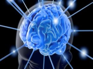 Mitől fiatalodhat az agy? Agyserkentő módszerek