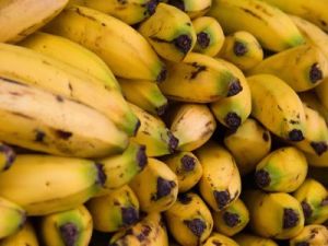Mitől védjük meg kedvenc gyümölcsünket, a banánt?