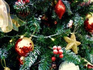 Karácsonyfa vásárlási ötletek