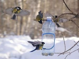 Hogyan készítsünk madáretetőt?