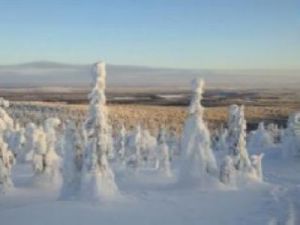 Szibéria élővilága és időjárása vajon milyen?