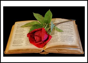 Idei bestseller könyvek, miért jobb olvasni, mint filmen megnézni?